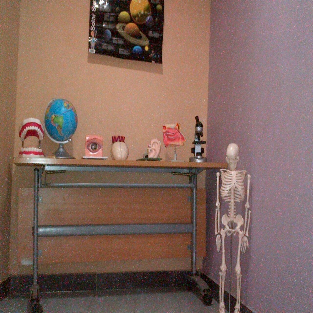 WhatsApp Image 2016-10-27 at 9.37.29 AM.jpeg 